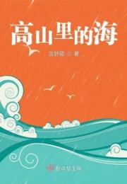 高山里的海小说阅读
