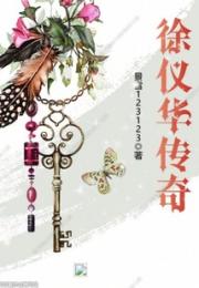 徐仪华传奇小说阅读