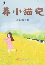 养小猫记小说阅读