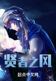 贤者之风小说阅读