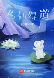 飞仙得道小说阅读