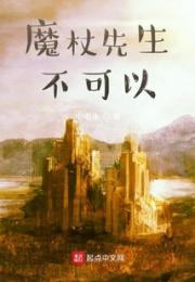 魔杖先生不可以小说阅读