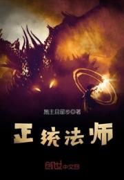 正统法师小说阅读
