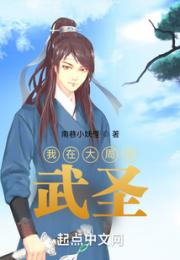 我在大周当武圣小说阅读