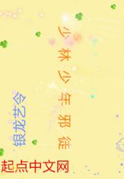 少林少年邪徒小说阅读