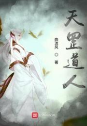 天罡道人小说阅读