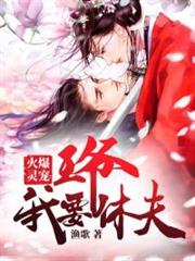 火爆灵宠：王爷，我要休夫小说阅读