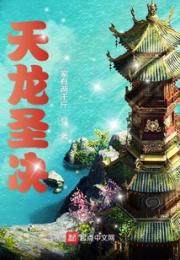 天龙圣决