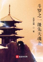 斗罗之一级先天魂力小说阅读