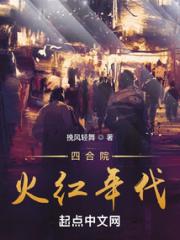四合院：火红年代小说阅读