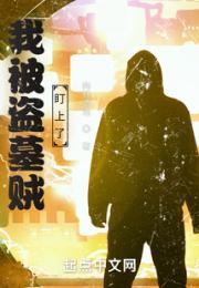 我被盗墓贼盯上了小说阅读