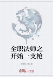 全职法师之开始一支枪小说阅读
