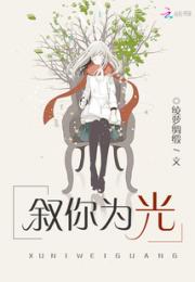 叙你为光小说阅读