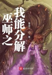巫师之我能分解小说阅读