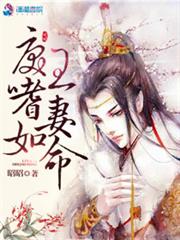 戾王嗜妻如命小说阅读