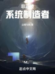 非正经系统制造者小说阅读