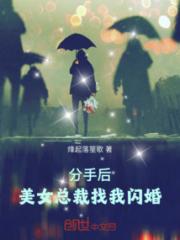 分手后，美女总裁找我闪婚