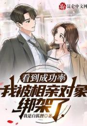 看到成功率，我被相亲对象绑架了小说阅读
