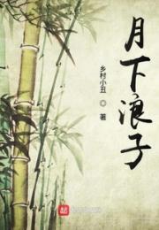 月下浪子小说阅读