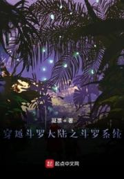 穿越斗罗大陆之斗罗系统小说阅读