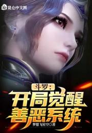 斗罗：开局觉醒善恶系统小说阅读