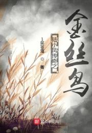 陆小凤传奇之金丝鸟小说阅读