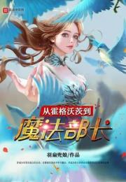 从霍格沃茨到魔法部长小说阅读