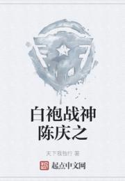 白袍战神陈庆之小说阅读