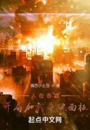 人在吞噬，开局加载斗破面板小说阅读