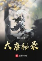 大唐秘闻小说阅读
