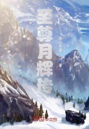 至尊月辉传小说阅读
