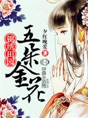 锦绣田园，五朵金花小说阅读