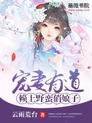 宠妻有道：赖上野蛮俏娘子小说阅读