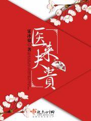 医来夫贵小说阅读