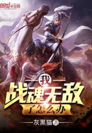 我战魂无敌了怎么办小说阅读