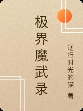 极界魔武录小说阅读