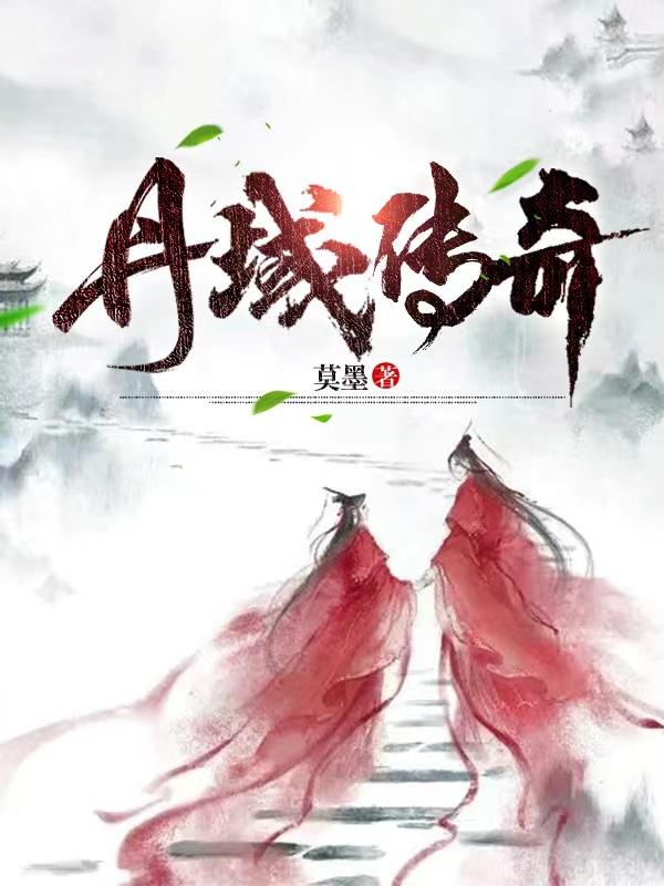 丹域传奇小说阅读