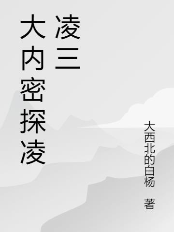 大内密探凌凌三小说阅读