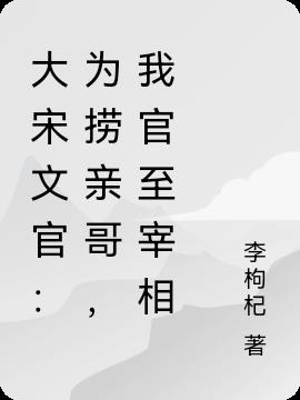 大宋文官：为捞亲哥，我官至宰相小说阅读