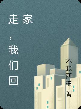 走，我们回家小说阅读