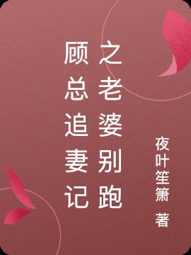 顾总追妻记之老婆别跑小说阅读