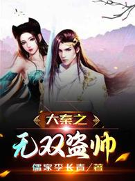 大秦之无双盗帅小说阅读