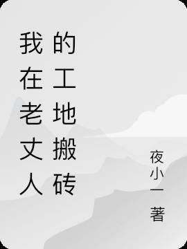我在老丈人的工地搬砖小说阅读