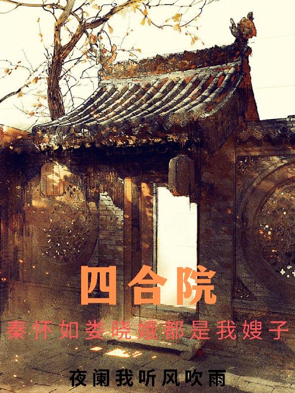 四合院：秦怀如娄晓娥都是我嫂子小说阅读