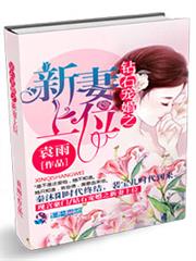 钻石宠婚之新妻上位小说阅读