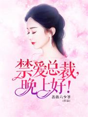 禁爱总裁，晚上好！小说阅读