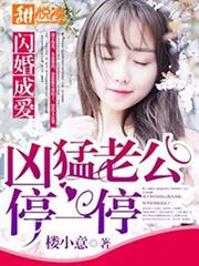 闪婚成爱：凶猛老公停一停小说阅读