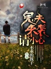 鬼夫来袭请小心小说阅读