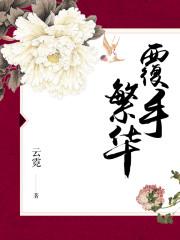 覆手繁华小说阅读