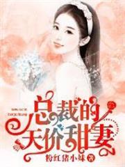 总裁的天价甜妻小说阅读